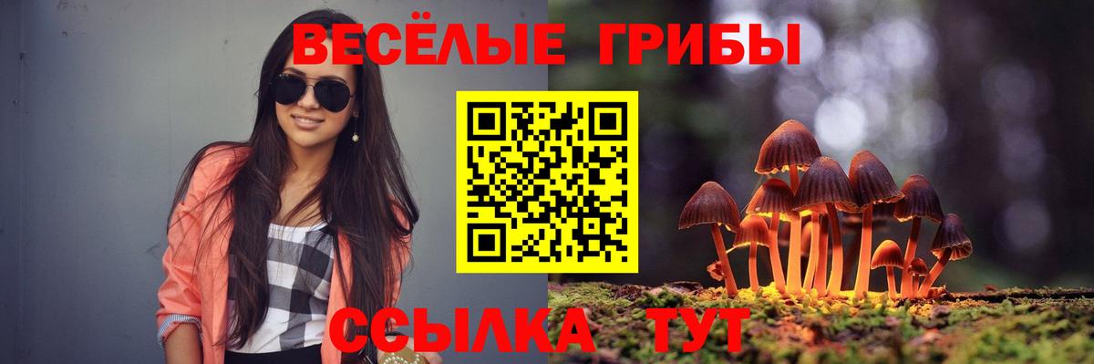сколько стоит  Псилоцибиновые грибы Magic Shrooms  Вход с VPN  Искитим 